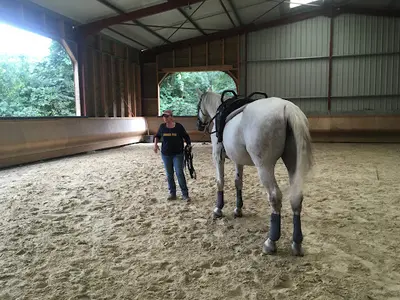 Poney Club de Barny