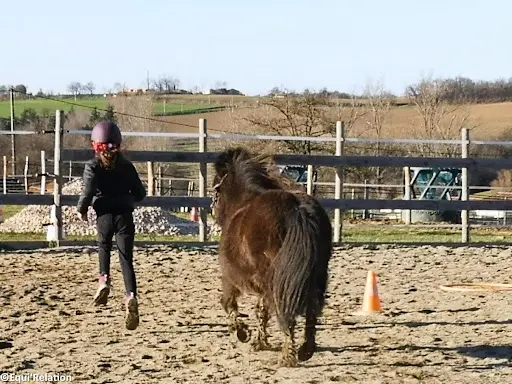 Equi Relation