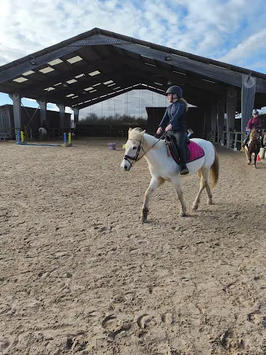Poney et Compagnie