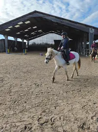 Poney et Compagnie