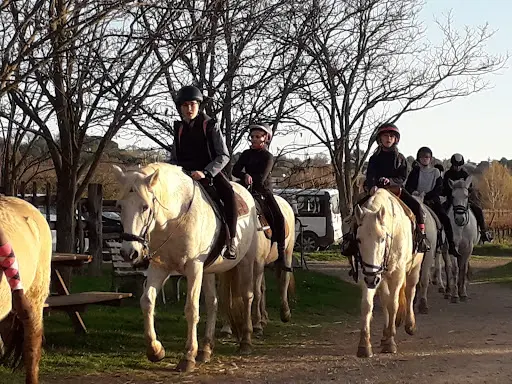 A Cheval Chez Theo