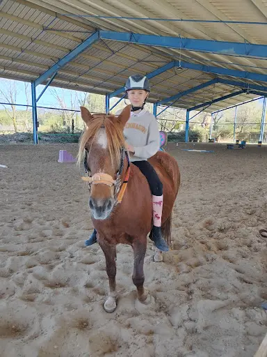 Pension Pour Chevaux - Ecuries de la Louvière