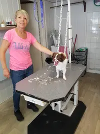 l'Aristochien