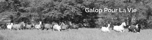 Galop Pour la Vie