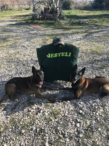 Les Gardiens de Jesteli