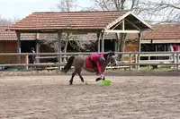 Club Hippique de Taravas