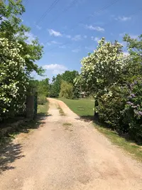 Pension Canine des Taravas