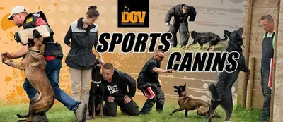 Centre Canin du Dgv