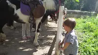Les Écuries de Circé