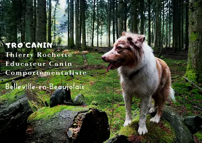 Tro Canin, Éducateur Canin, Comportementaliste, Thierry Rochette