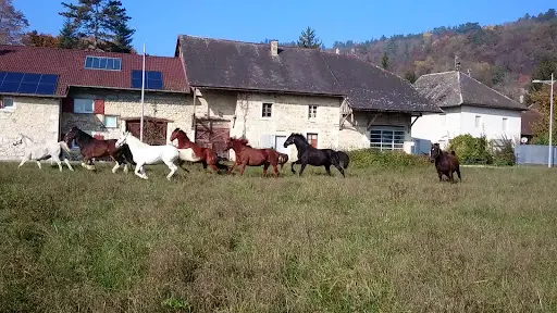 Ecuries de la Louve