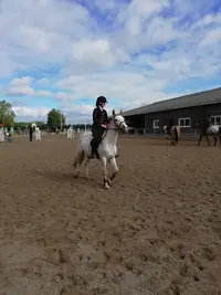 Les Écuries de Belloy-sur-somme - Magnier Elise Centre Équestre