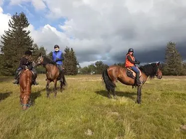 Cheval Alsace