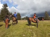 Cheval Alsace