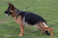 Elevage du Lamentin