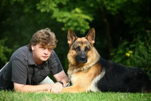 Astuce de Chien - Comportementaliste et Éducateur Canin