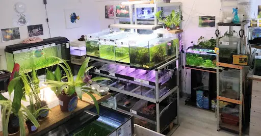 Ced Aqua Biotope