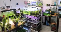 Ced Aqua Biotope