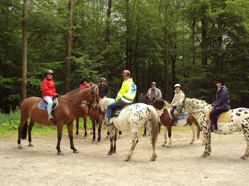 Association Equestre des Randonneurs de Mormal