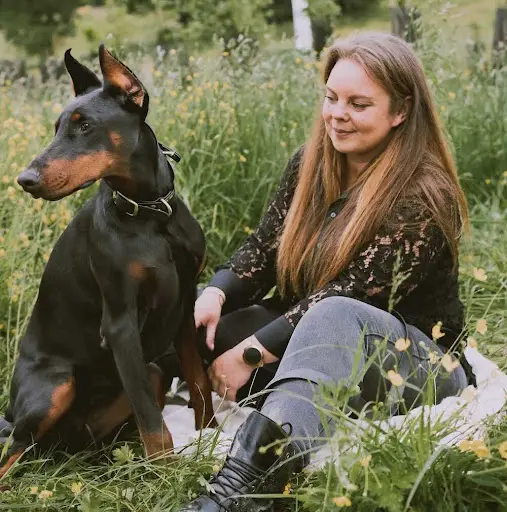 Éducateur Canin Respectdogs Bernay