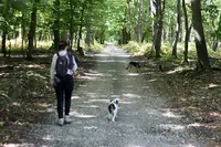 Pattes Douces • Comportement Félin, Éducation & Comportement Canin