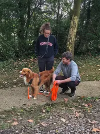 Steph et les Chiens - Éducateur Comportementaliste Canin
