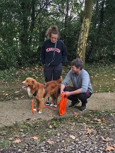 Steph et les Chiens - Éducateur Comportementaliste Canin
