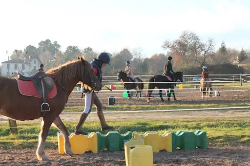 Poney-club les Galop-pins
