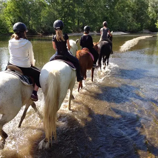 Centre Équestre l'Hippocampe