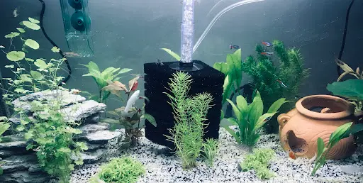 Equipement-aquarium