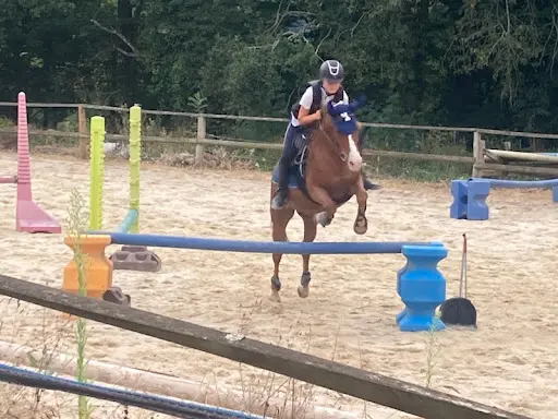 Cheval Pot Âgé