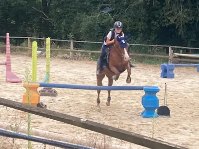 Cheval Pot Âgé