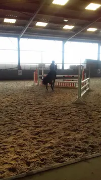 Sarl Centre Equestre de Bersee, Écurie des Peupliers