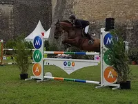 Les Ecuries de l'Oasis