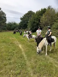 Ferme Équestre de la Forêt de Chailluz