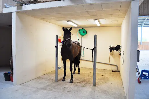 Haras de Vesontio