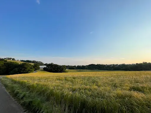 Haras du Levain
