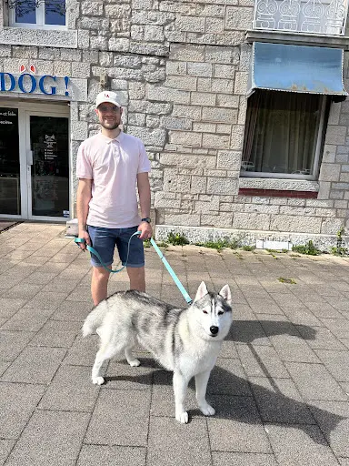 Oh My Dog !