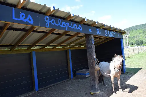 Galopins du Sancy - Domaine Équestre de Berthaire