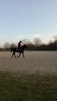 Centre Equestre de Bessières - Écurie Dales