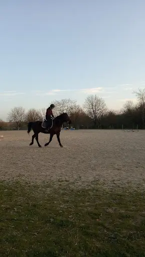 Centre Equestre de Bessières - Écurie Dales