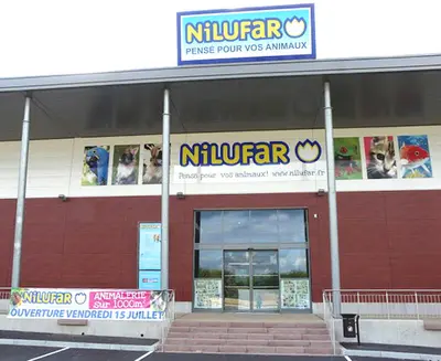 Nilufar Belfort Bessoncourt