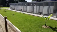 Le Bonheur des 4 Pattes