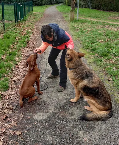 Paroles d'Animaux - Éducateur Canin À Rennes