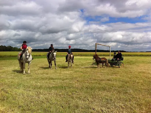 Les Ecuries du Ménage - Centre Equestre de Beussent