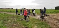 Charlène Patrat - Education Canine