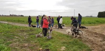 Charlène Patrat - Education Canine