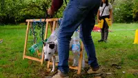 Justine - Education Canine