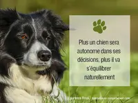 Laurence Roux