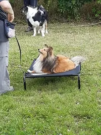 Beziers Sport Canin